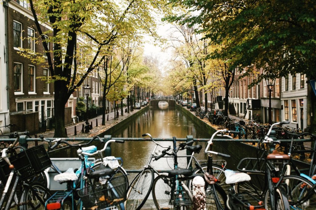 Private Amsterdam Tours